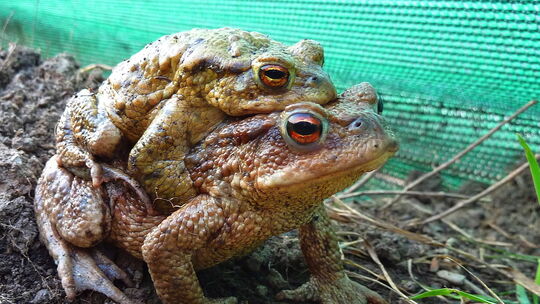 Diese zwei Tagewanderer in Auen hat Karl-Heinz Fuldner festgehalten.
