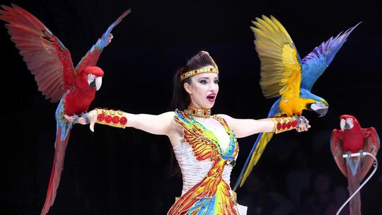 Laura Urunova ließ ihre Papageien durch die Manege kreisen. Sie war eine von mehr als 40 Artisten aus insgesamt zehn Nationen, d