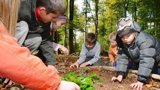 Ferienangebote wie Waldwochen können Eltern von Schulkindern entlasten. Doch für die kommenden Herbstferien ist das Angebot im K