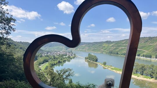 Deutschlands schönster Wanderweg aus dem Jahr 2024 - der Langhalsweg in Osterspai - bekommt am 1. Mai ein neues Highlight. Am Ta