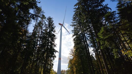 Kommen Windräder auch in den Wald oberhalb von Schönborn?