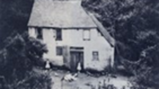 Die Treis-Mühle im Neefer Bachtal um das Jahr 1920.