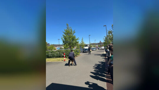 Vorführung der Diensthundestaffel