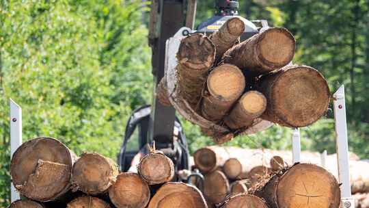In der Einheitsgemeinde Morbach spielt die industrielle Holzverarbeitung seit jeher eine wichtige Rolle. Das war auch der Hauptg