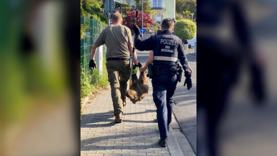 Polizei und Jäger retten Wildsau