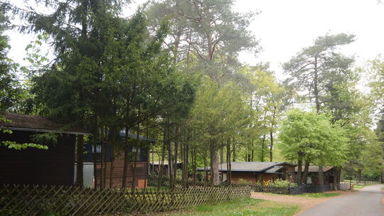 Immer wieder gerät Wienikes Waldidyll inden Fokus der Öffentlichkeit, denn über den Status des Bebauungsplanes herrscht auch sei