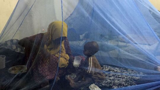 WHO gibt erstmals Malaria-Medikament für Babys frei