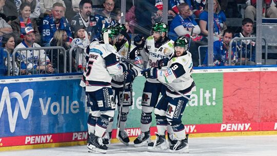 Adler Mannheim - Eisbären Berlin