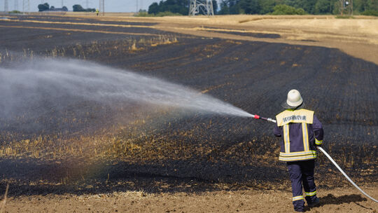 Extreme Wetterphänomene begünstige auch Flächenbrande wie diesen in Wirfus im Juli 2023.