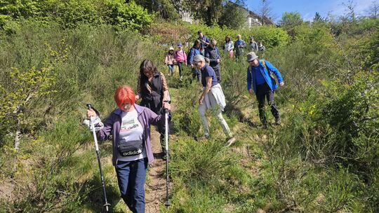 Es war eine großartige und abwechslungsreiche Gelegenheit, die Schönheit der Natur mit allen Sinnen bei bestem Wanderwetter entl