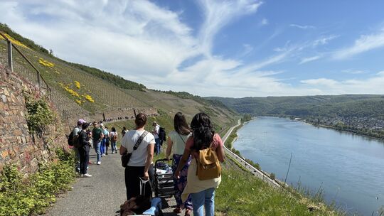 Immer wieder klingen Partysongs aus den Musikboxen der Besucher. Auf den Weinbergen im Bopparder Hamm herrscht ordentlich Stimmu