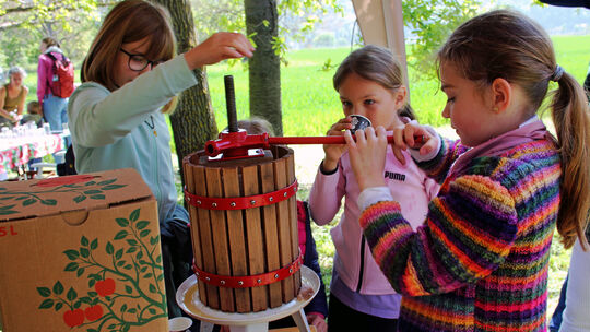 Von der Frucht ins Glas: Beim Tag der Streuobstwiese in Güls war so einiges für die Besucher geboten. So machte das Keltern von