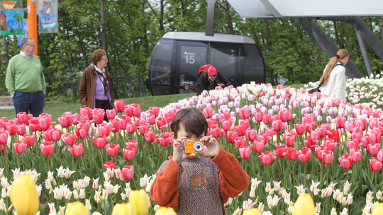 Blumen, Seilbahn, gute Laune: Die Bundesgartenschau 2011 ist für viele Koblenzer ein emotionales Thema, auch für unseren Autor.