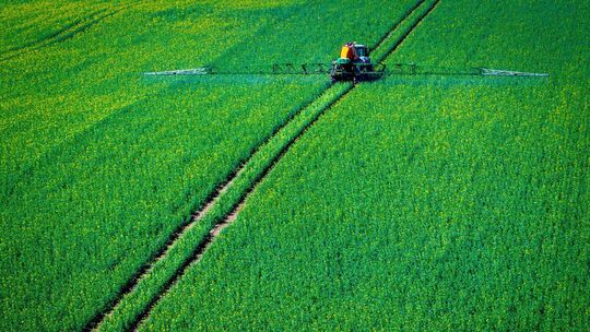 Pflanzenschutz auf Rapsfeld