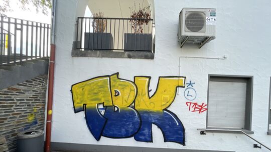 In Wittlich hat ein Unternehmer eine Belohnung für Hinweise ausgesetzt, die zur Ergreifung des Sprayers mit dem Tag „TBK“ führen