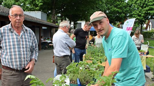 Das Interesse an den selbstgezogenen Pflanzen auf der Insuler Pflanzenbörse ist immer groß.