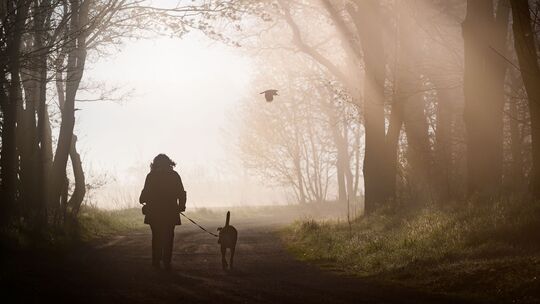 Morgenstimmung in Brandenburg