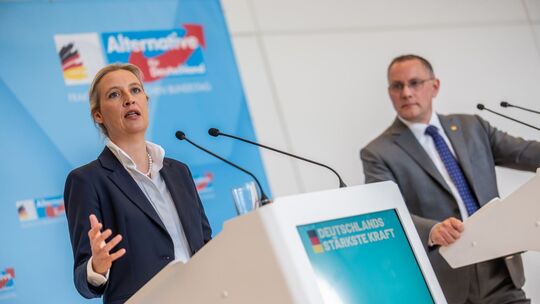 Alice Weidel und Tino Chrupalla