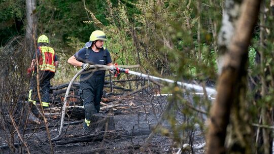 Waldbrandgefahr in Rheinland-Pfalz steigt