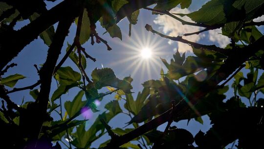 Wetter in Saarland