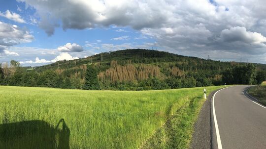 Seit Jahren gibt es Streit um die Frage, ob auf dem zur Stadt Wissen gehörenden Hümmerich, zwischen Mittelhof und Gebhardshain g