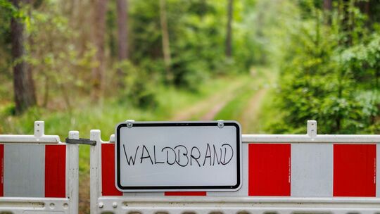 Waldbrand Waldbrand