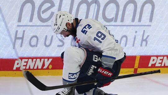 Eisbären Berlin - Adler Mannheim