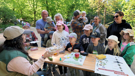 „Was wären wir ohne Bienen?“, fragt die Zoo-Mitarbeiterin die Jungen und Mädchen.