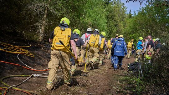 Hunderte Einsatzkräfte bekämpfen Waldbrand bei Friesenhagen