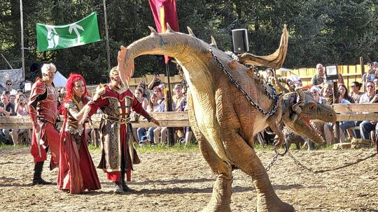Die European-Horse-Show-Truppe bei ihrer packenden Show in Freisen. Der Mittelaltermarkt lockte Tausende Besucher an.