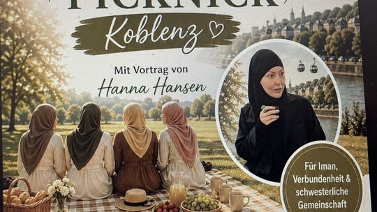Mit solcher Onlinewerbung wurde für das Picknick im Koblenzer Volkspark geworben.