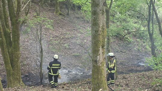Feuerwehrleute an der Brandstelle im Waldgebiet nahe der Paulinenstraße ab - eine größere Ausbreitung konnte glücklicherweise ve