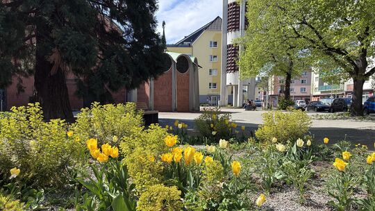 Der erste Frühling im Koblenzer Klimaquartier. Hier blüht und grünt es.