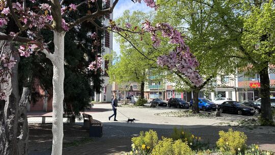 Der erste Frühling im Koblenzer Klimaquartier.