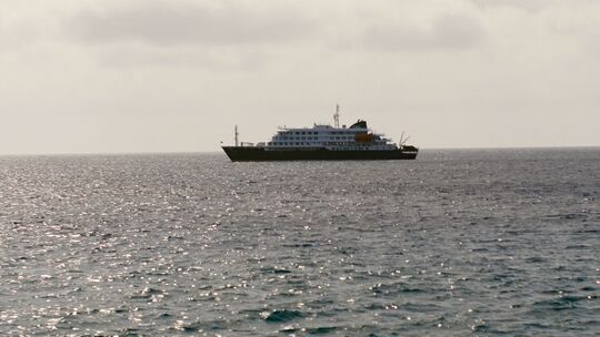 Drei Tote nach Hantavirus-Ausbruch auf Kreuzfahrtschiff