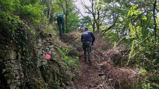 Im Notfall könnte der Hochwasserpfad im Elzbachtal Leben retten. Die Rentnergruppe Feuer und Flamme hat ihn wieder begehbar gema