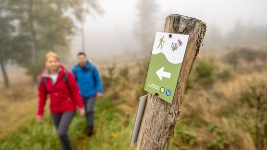 Verlaufen kann sich niemand auf dem neu eröffneten Naturvielfaltspfad am Erbeskopf.