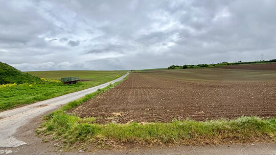 Auf landwirtschaftlich genutzten Flächen am Burgerberg könnte nach Plänen der Planungsgemeinschaft Mittelrhein-Westerwald in And