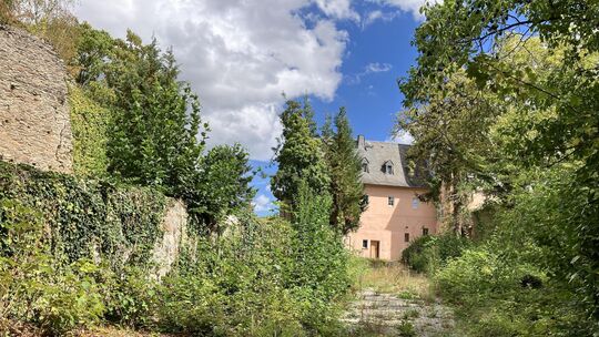 Schon im vergangenen Spätsommer konnte man sehen, wie schnell sich die Natur den Katzenelnbogener Schlosshof zurückholt.