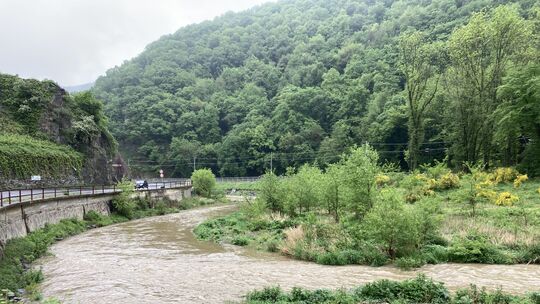 Nach den Regenfällen verteilt sich die Ahr gegenüber dem Weinhaus "Zur Bunten Kuh" bei Walporzheim bereits über die Naturflächen
