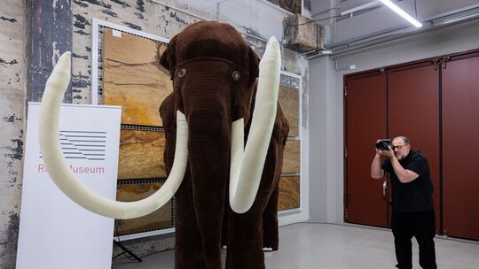 Gehäkeltes Mammut - Rekord