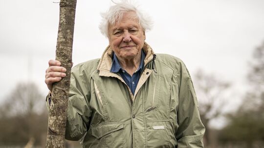 Sir David Attenborough