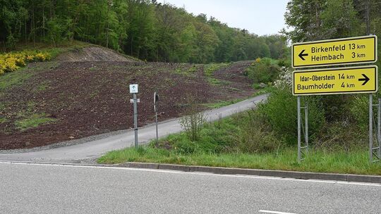 Hier könnte ein Ansatz für die Zufahrt zum Reichenbacher Industriegebiet gefunden werden: Eine 1,2 km lange Straße wurde zur Anl