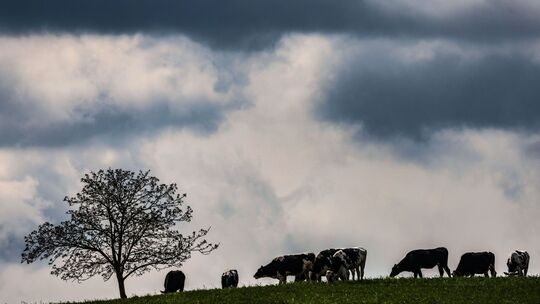 Wetter in der Eifel Wetter in der Eifel