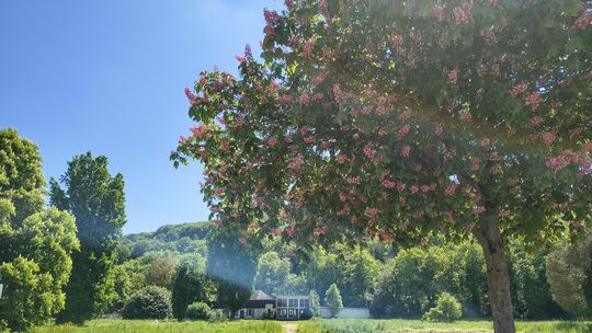 An diese Stelle vor dem ehemaligen Kurpark soll die neue Tourist-Info entstehen.