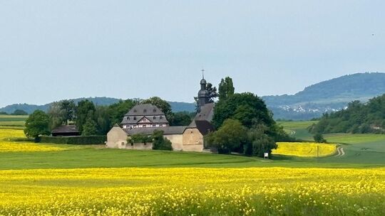 Was für eine Idylle inmitten blühender Rapsfelder! Die neue Radroute Vulkanschleife Basalt verwöhnt das Auge. Der Frauenkircher