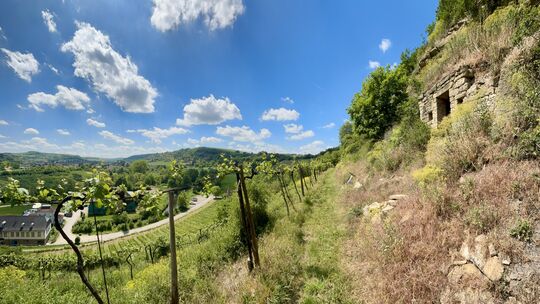 Blick aus dem Weinberg Richtung Straße nach Staudernheim, oben rechts das unscheinbare Wingertshäuschen im Disibodenberg.
