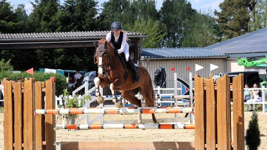 Eva Wedekind vom RV Distelberger Hoff Winningen auf Aix-La-Quenn beim M-Springen.