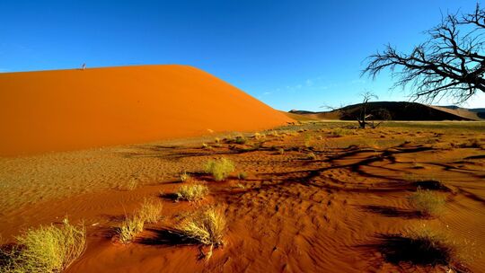 Sanddünen in Sossusvlei