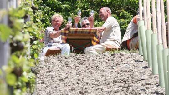 Wein genießen in den Weinbergen bei Leutesdorf hat mittlerweile Tradition.